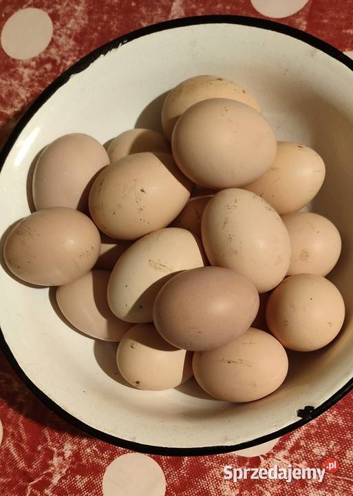 Jaja wiejskie ekologiczne Garcz
