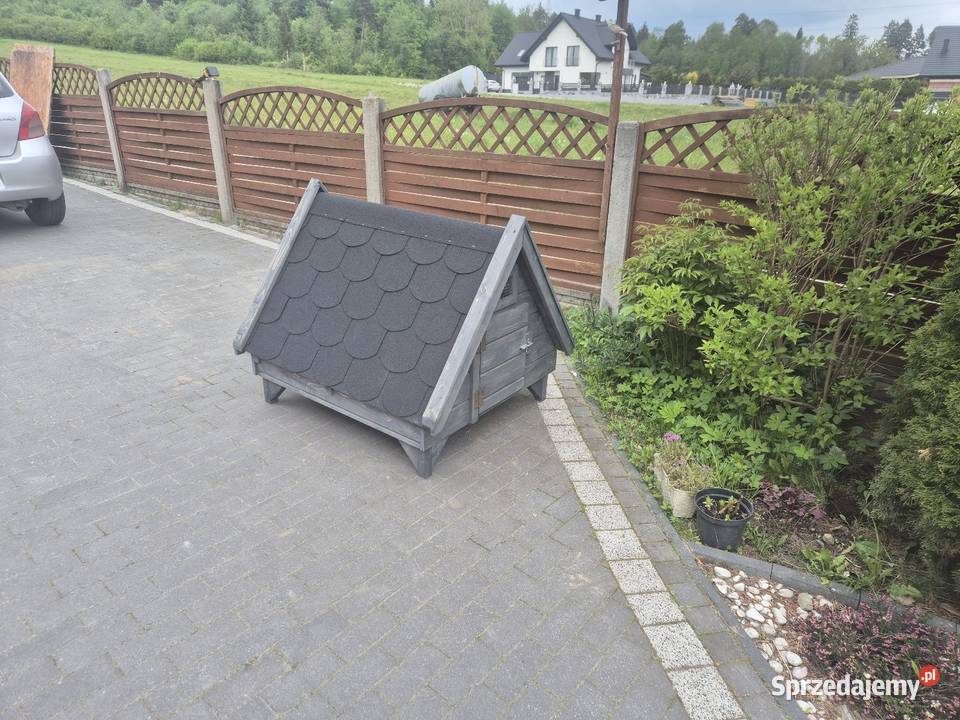Kacznik Jordanów sprzedam