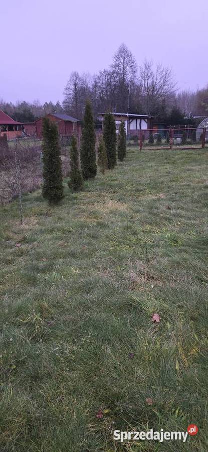 Działka ROD Tulipan Pozostałe