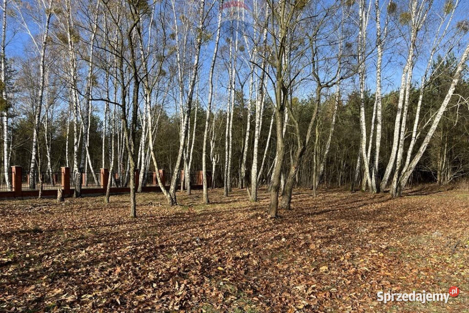 Konstancinurokliwa działka budowlana mediaMPZP