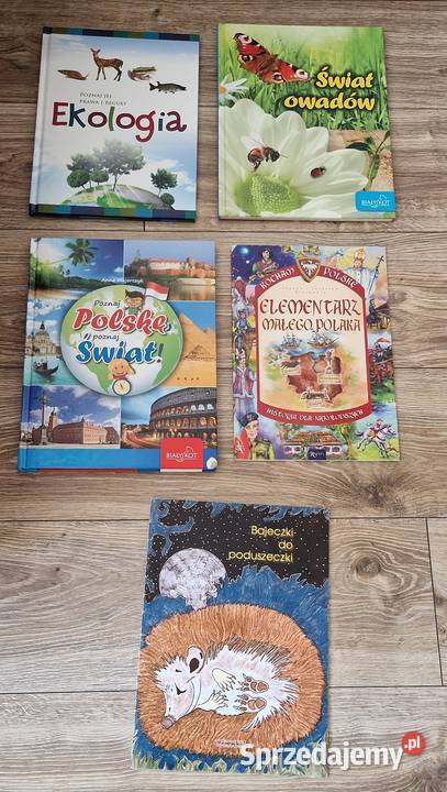 książki dzieci owady ekologia polska bajki Kraków