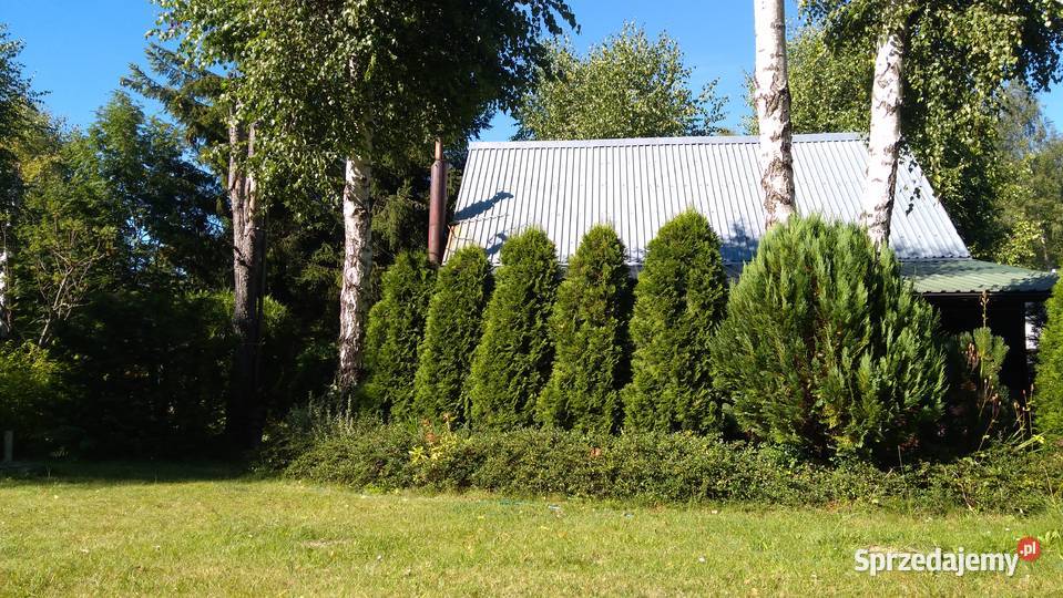 Olszanla 1100m2 Olszanka