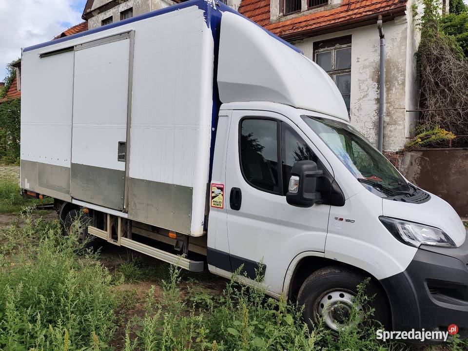 Fiat Dyucato Automat kontener z windą 750 Rok produkcji 2021 Trzebnica