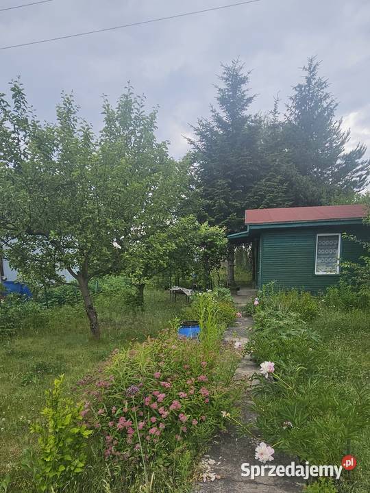 Zielona Działka ROD Ariadna Dąbrowskiego Łódź 106zł/m2 sprzedam