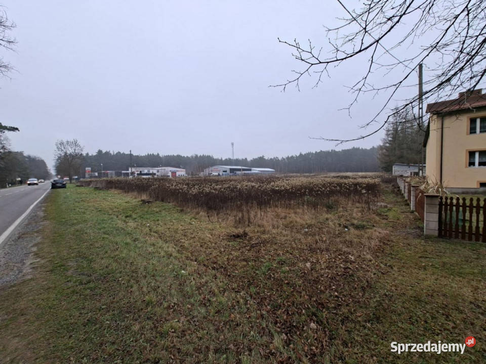 Grunt 1824m2 Głusko DużeKolonia Głusko Duże-Kolonia