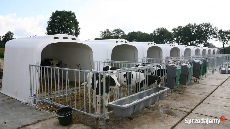 Koryto paszowe z miejscem na wiadra CalfOTel Opole