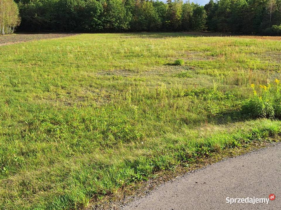 Działka budowlana Szczucin