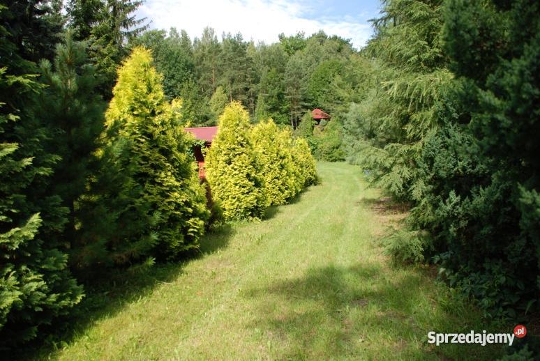 działka Serock 2040m2 z widokiem na Zalew Zegrz Serock sprzedam