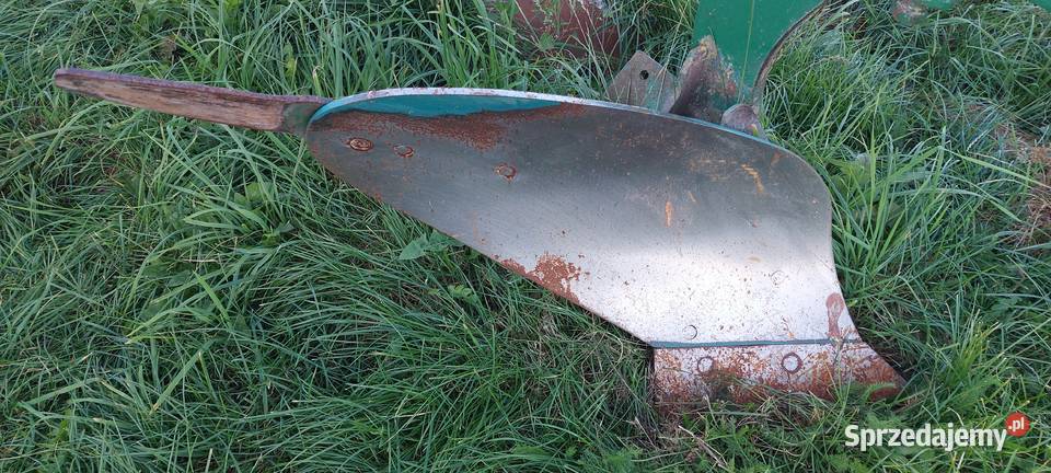 Pług kujawsko-pomorskie Kotowy