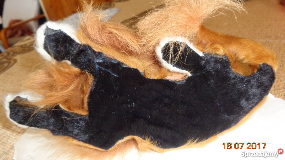 ozdobny lew na dekoracje