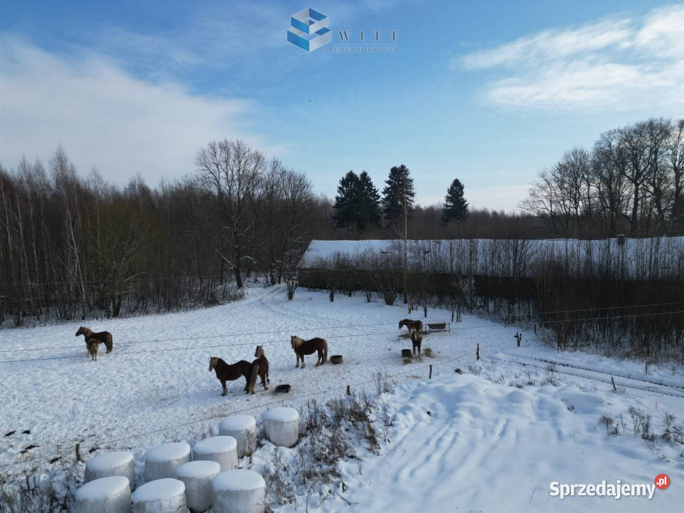 Działka Marwałd 150700m2 sprzedam