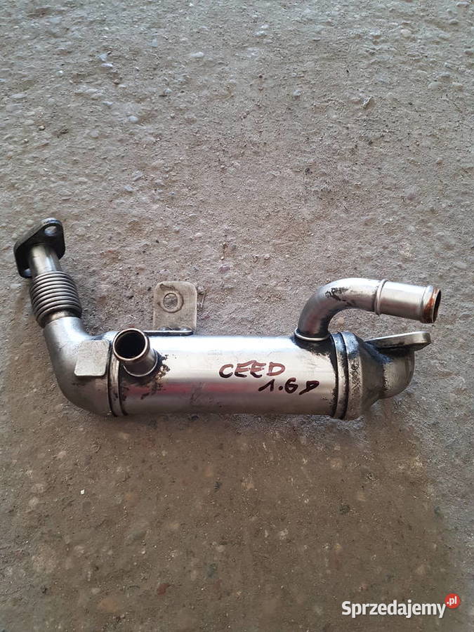 KIA CEED 16 CRDI CHLODNICA EGR SPALIN 284162A410 wielkopolskie Turek