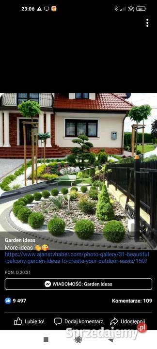 Tuja Szmaragd 50 Rośliny Witkowo Drugie