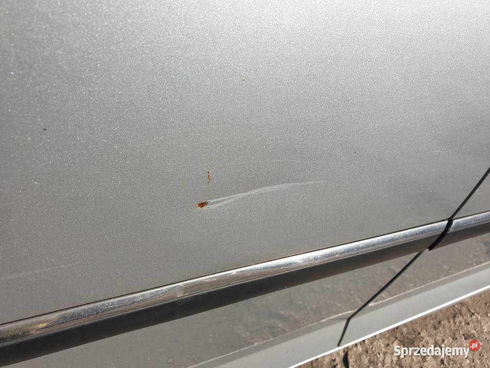 Drzwi PT 407 SW Kombi EZRC osobowe
