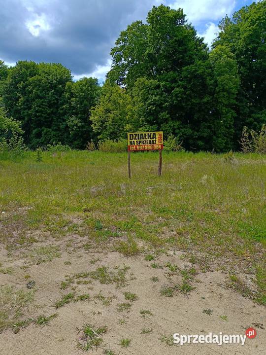 Sprzedam działki budowlane z warunkami zabudowy Bierzwnik