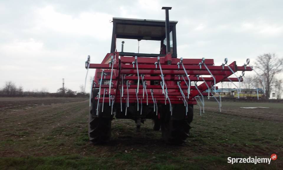 pielnik chwastownik do czosnku