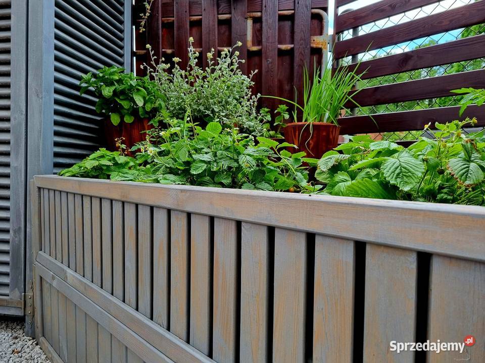 Warzywnik skrzynia ogrodowa zielnik kwietnik Warzywniki i zielniki Kalety