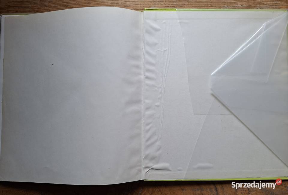 W kręgu sztuki Gianlorenzo Bernini Arkady Kraków