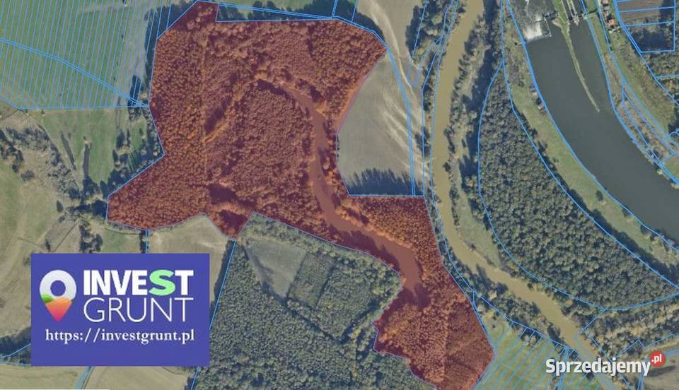 526 ha stawy rybne przetarg na dzierżawę Wronów sprzedam