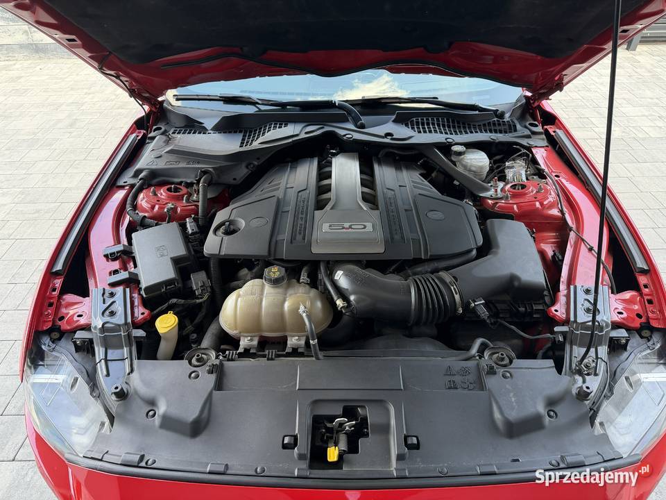 Ford Mustang 55 edycja benzyna Radom sprzedam