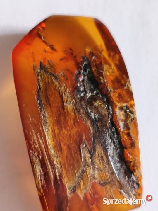 Bursztyn Inkluzja Roślinna Białystok