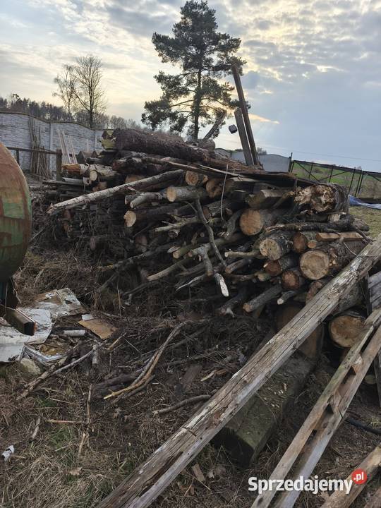 Drzewo opałowe różne Kawice