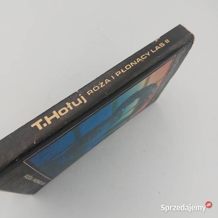 Książka Rża i Płonący Las ISBN 8308012884 mazowieckie Kobyłka