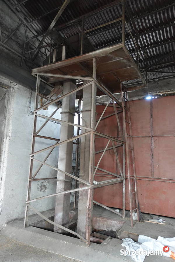 Podajnik zbożowy radler taśmowy przenośnik Złotoryja