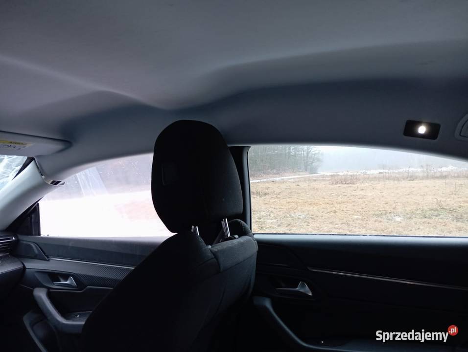 Peugeot 508 wielkopolskie Ostrów Wielkopolski