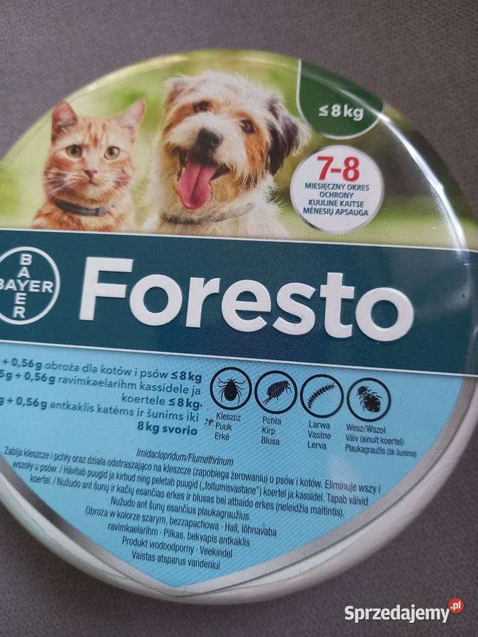 Obroza foresto nowa Nowy Sącz