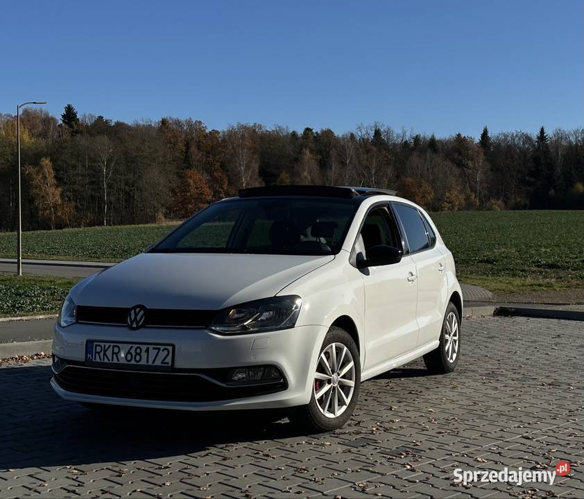 Volkswagen Polo V najbogatsze wyposażenie Krosno
