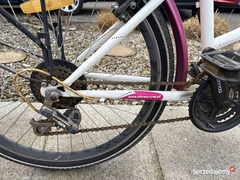 Rower dziewczęcy rayon 24