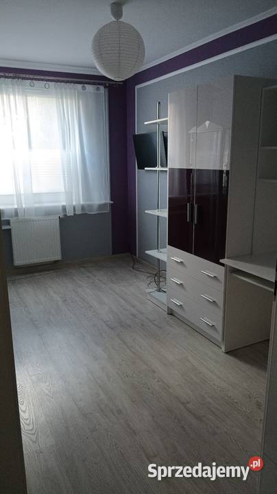 Wynajmę mieszkanie 52 m2 z ogródkiem 111 m2 parter mazowieckie Płock