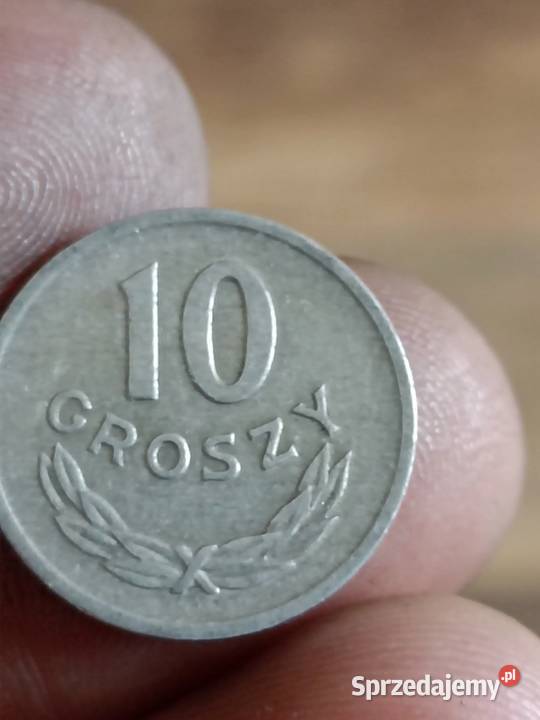 Sprzedam 10 gr 1967 zzm Chełm