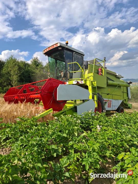 Claas dominator 66 Zbożowe małopolskie Lipnica Wielka