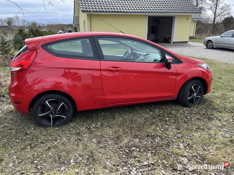 Ford fiesta Rudnica