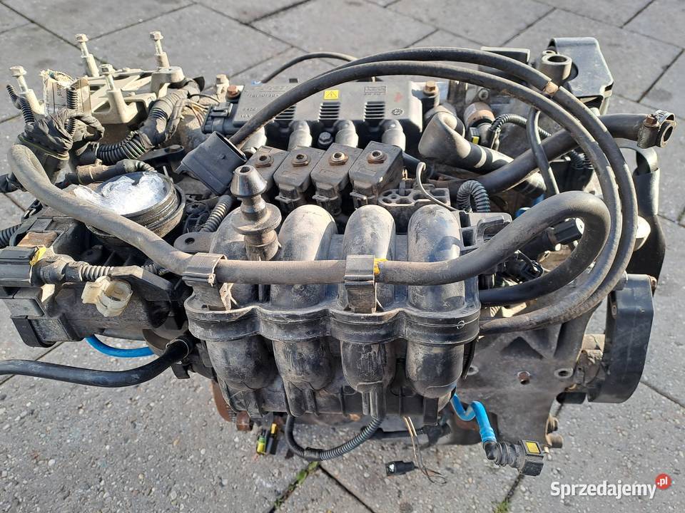 Fiat Grande Punto Evo 14 8V silnik kompletny kod Jastrzębie-Zdrój