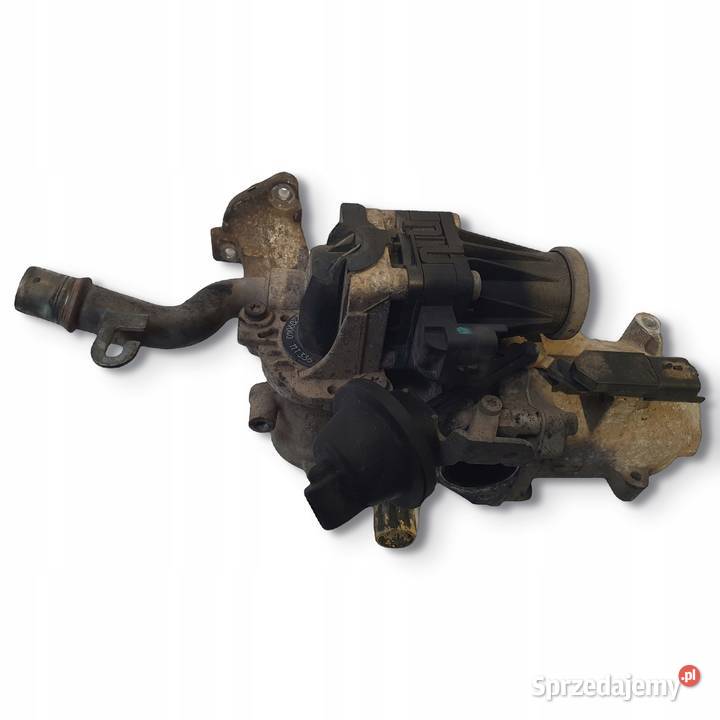 CHŁODNICA SPALIN EGR Ford Focus III MK3 16 TDCI Chełm sprzedam