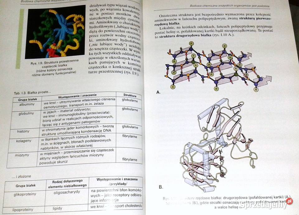 Botanika i biologia komórki Andrzej Batko i inni Chełm
