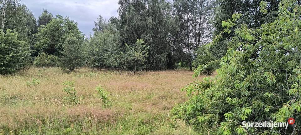 Działka budowlana Babiec Więczanki gm Rościczewo