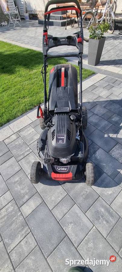 Kosiarka cedrus Szczekociny sprzedam