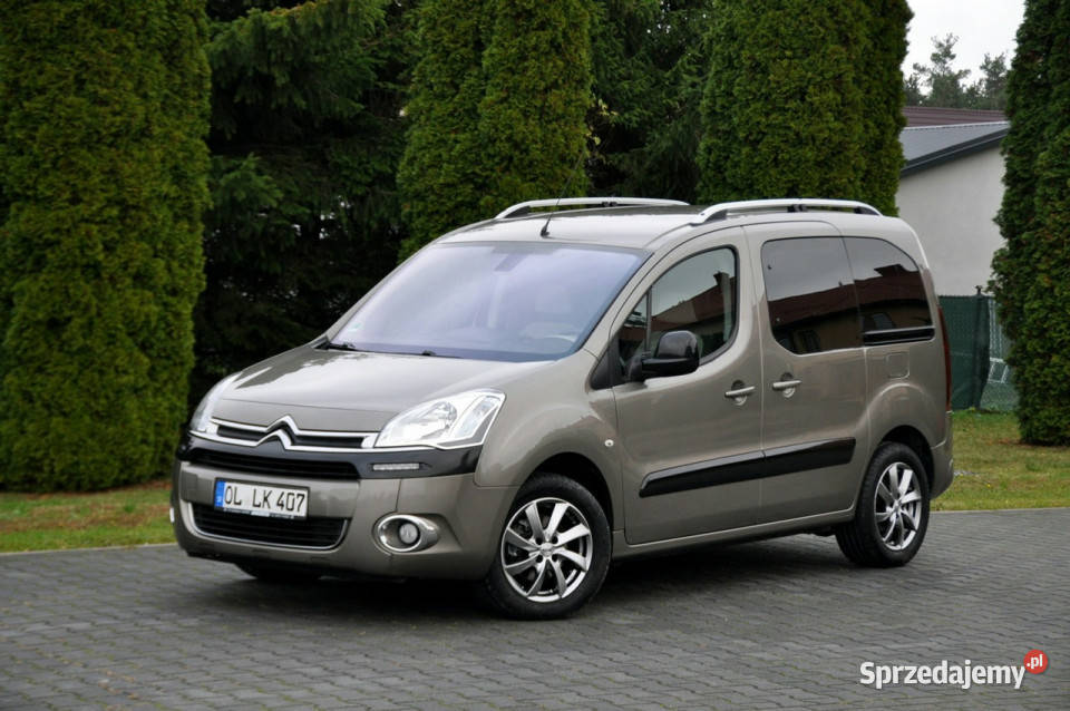 Citroen Berlingo autoalarm