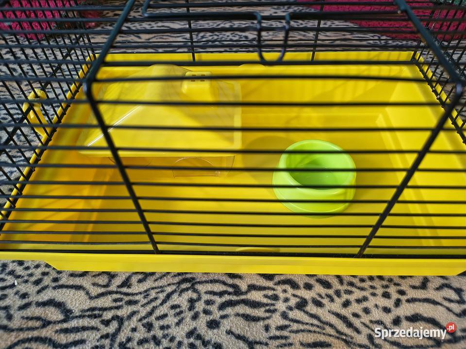 Klatka gryzoni Warszawa