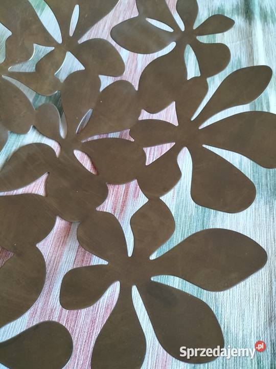 Patera na owoce stał nierdzewna Kraczewice Prywatne