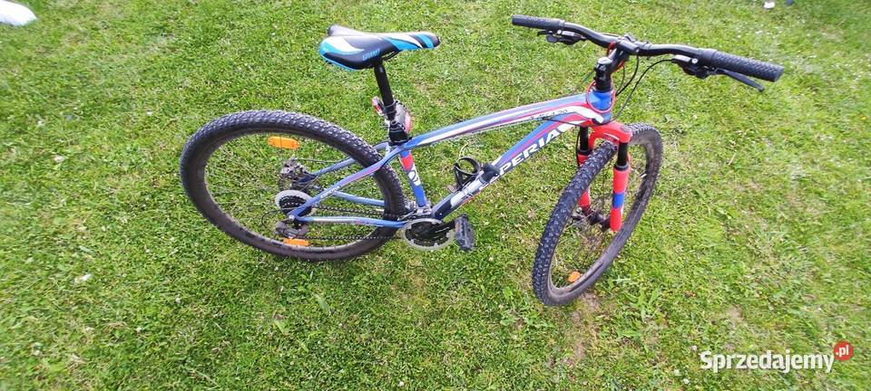 Sprzedam rower górski 29 stan super mało używany Rzeszów