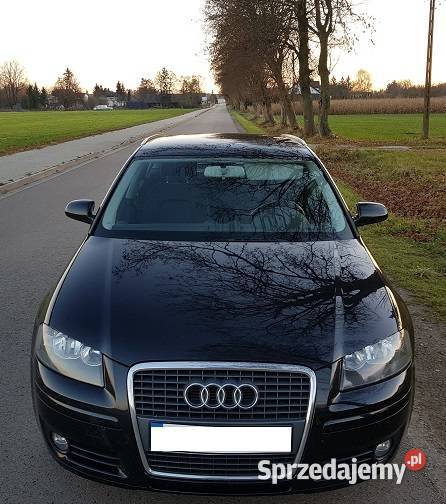 Audi A3 8P Sportback 19TDI 105 105KM Siedlce