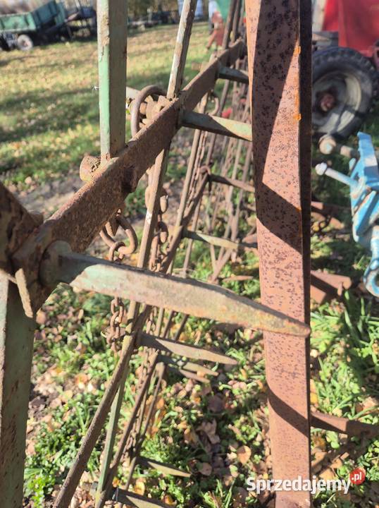 Brony trójki brona Bucze