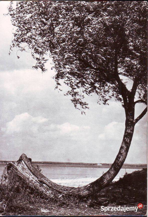 K Poczt Pojezierze 2 kas śląskie Gliwice sprzedam