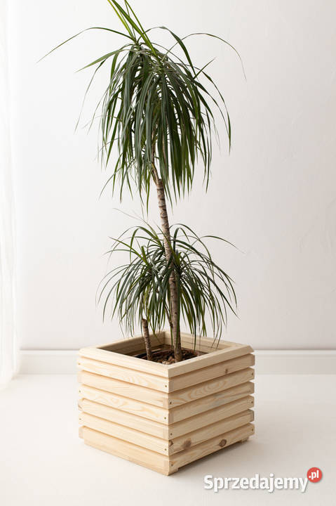 Donica osłonka 3D drewniana ogrodowa tarasowa Architektura ogrodowa Kalety