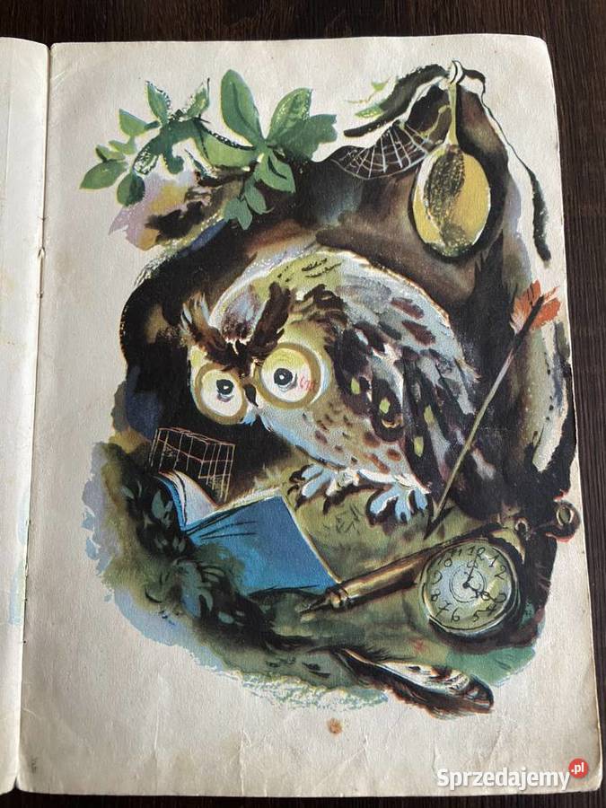 Tajemniczy Kajecik Bohdan Drozdowski ilustrował śląskie